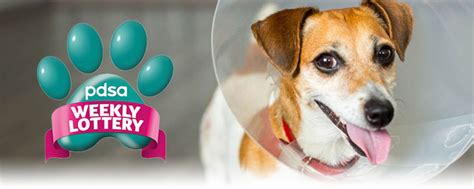 pdsa lottery advert.